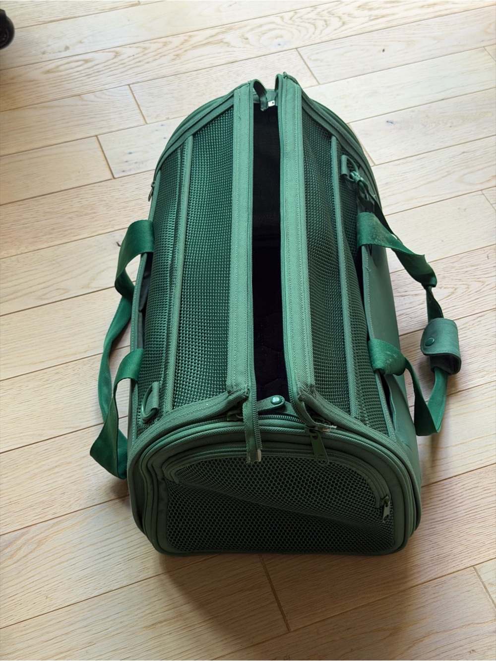 Wild One Green TSA Travel Carrier for Dogs